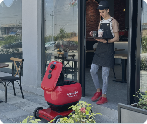 peykbot , delivery robots