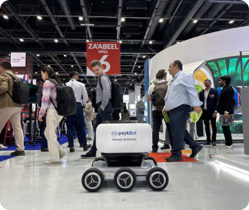 peykbot , delivery robots